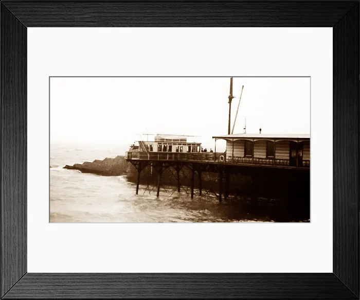 Framed Print : Brighton Daddy Long Legs Framed Print : Brighton Daddy Long Legs