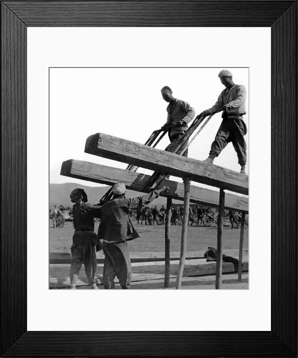 Framed Print : Sawing timber in Manchuria, China - early 1900s Framed Print : Sawing timber in Manchuria, China - early 1900s