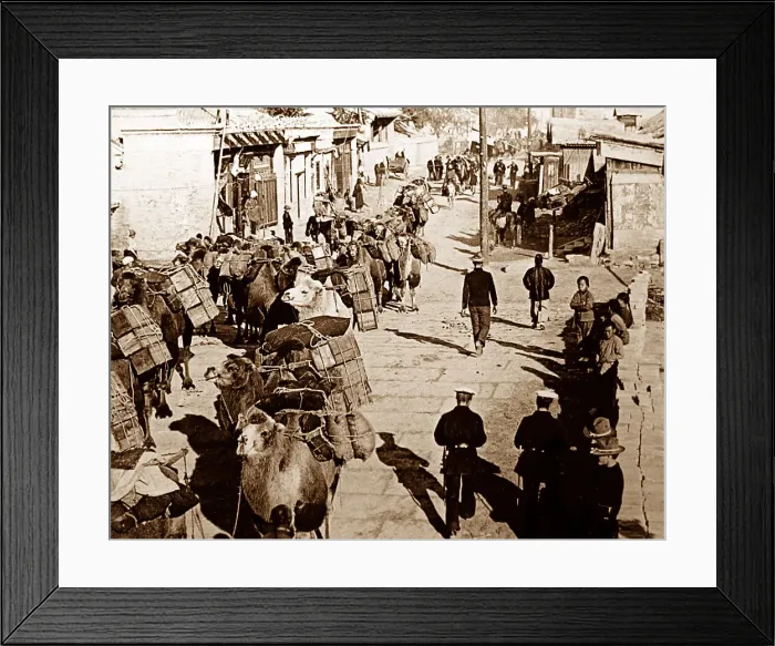 Framed Print : Camel train, Beijing, China Framed Print : Camel train, Beijing, China