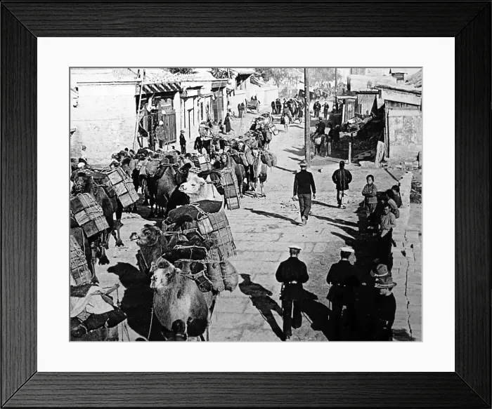 Framed Print : Camel train in Peking, China in the early 1900s Framed Print : Camel train in Peking, China in the early 1900s
