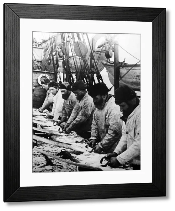Framed Print : Whaling ship, scraping the whalebone Framed Print : Whaling ship, scraping the whalebone