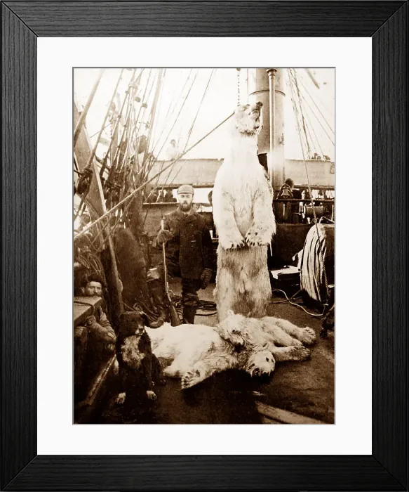 Framed Print : Whaling ship in the Arctic, polar bear and cubs Framed Print : Whaling ship in the Arctic, polar bear and cubs