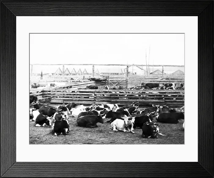 Framed Print : Stock Yards East End, Chicago, USA Framed Print : Stock Yards East End, Chicago, USA