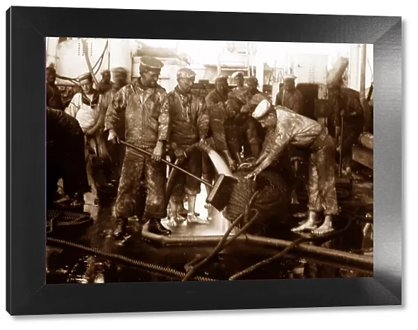 Royal Navy sailors tarring rope - Victorian period