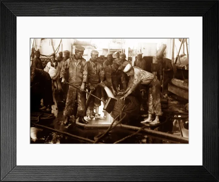 Framed Print : Royal Navy sailors tarring rope - Victorian period Framed Print : Royal Navy sailors tarring rope - Victorian period