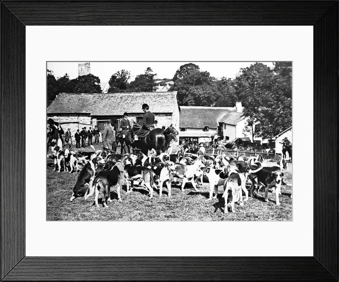 Framed Print : Stag hunting at Winsford Framed Print : Stag hunting at Winsford