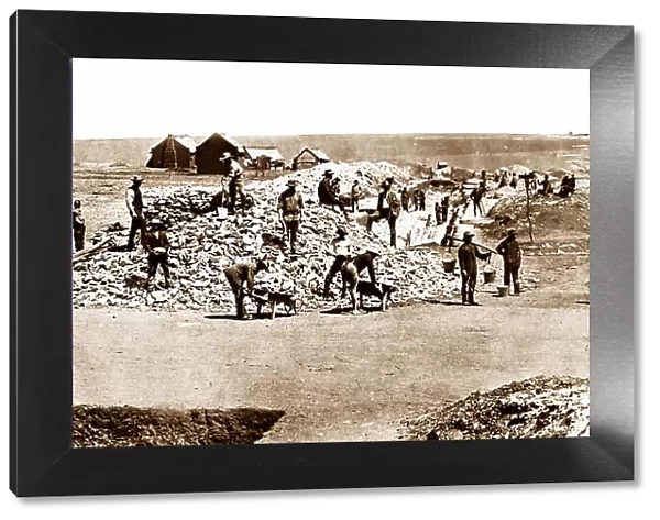 Starting a gold mine in South Africa - Victorian period