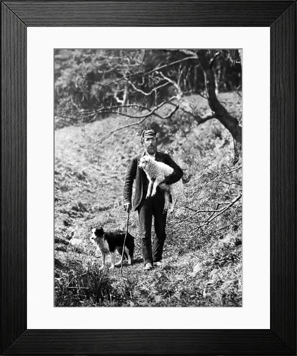 Framed Print : Scottish shepherd - hand coloured photo - Victorian period Framed Print : Scottish shepherd - hand coloured photo - Victorian period
