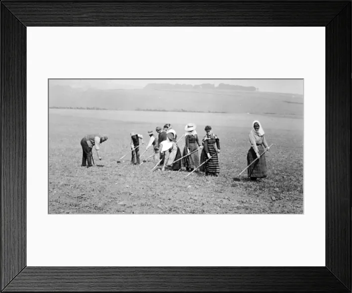 Framed Print : Scottish farm workers Framed Print : Scottish farm workers