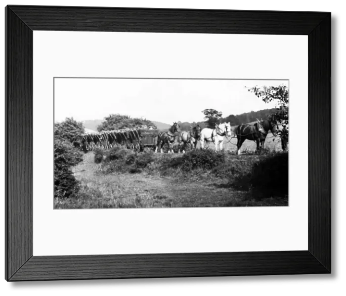 Framed Print : Little Eaton and Denby coal tramway - known as Framed Print : Little Eaton and Denby coal tramway - known as
