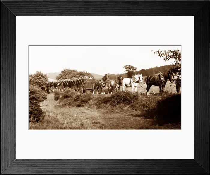Framed Print : Little Eaton and Denby Coal Gangway Framed Print : Little Eaton and Denby Coal Gangway
