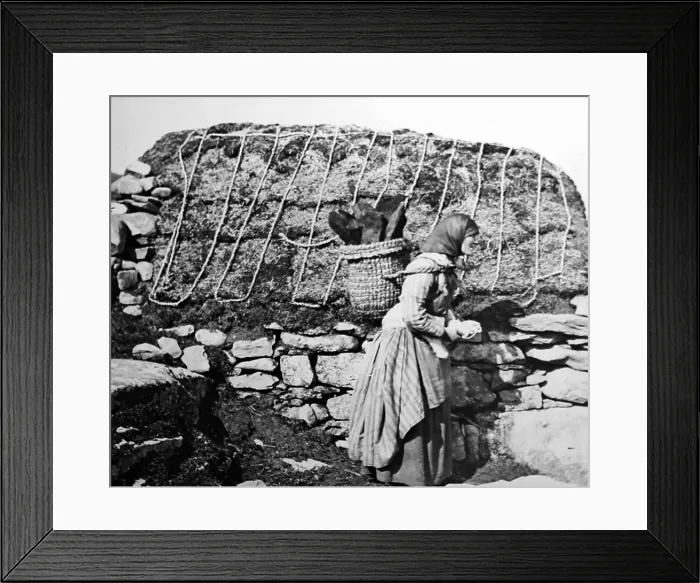 Framed Print : A Shetland Knitter - Victorian period Framed Print : A Shetland Knitter - Victorian period