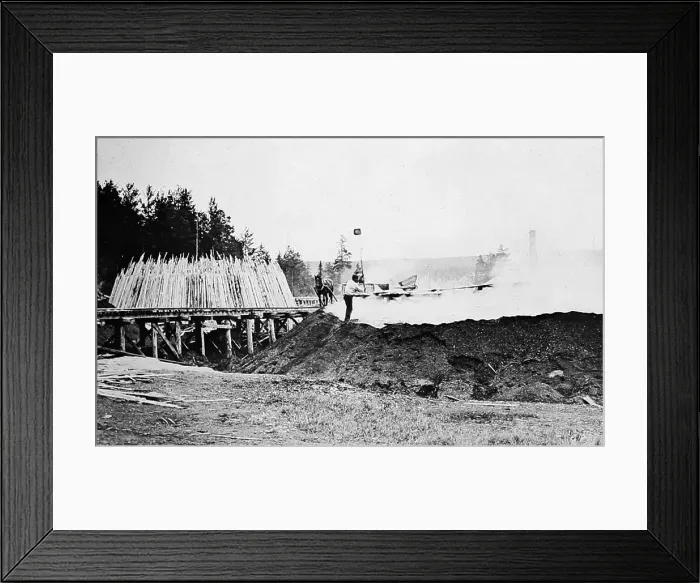 Framed Print : A Charring Stalk, Sweden - early 1900s Framed Print : A Charring Stalk, Sweden - early 1900s