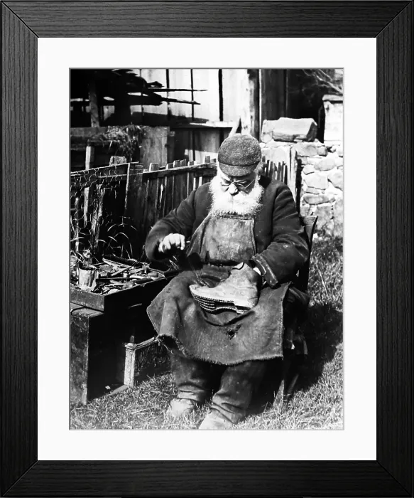 Framed Print : A cobbler - early 1900s Framed Print : A cobbler - early 1900s