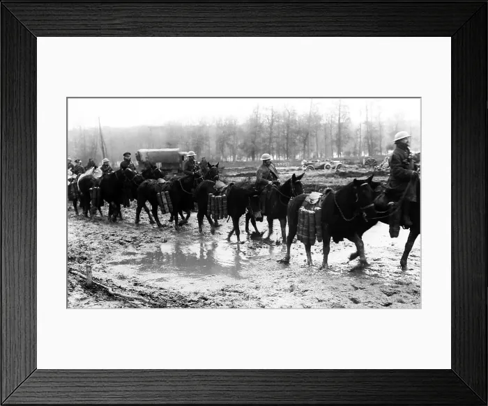 Framed Print : WW1 - Pack horses taking ammunition to the front Framed Print : WW1 - Pack horses taking ammunition to the front