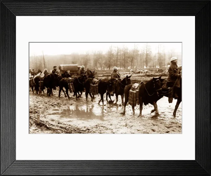 Framed Print : Pack horses carrying ammunition near Aveluy Wood Framed Print : Pack horses carrying ammunition near Aveluy Wood