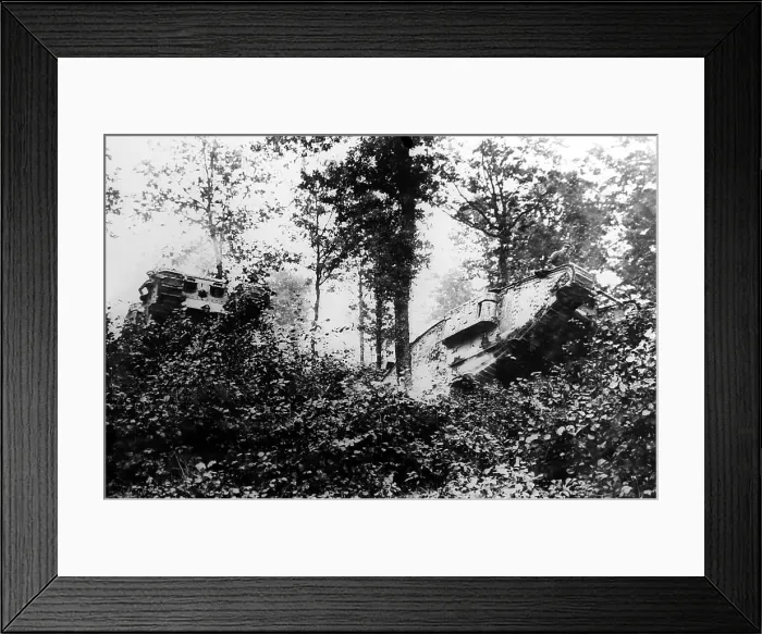 Framed Print : WW1 - Two tanks passing through Oosthoek Wood Framed Print : WW1 - Two tanks passing through Oosthoek Wood