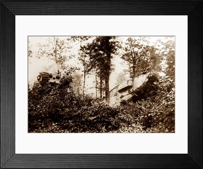 Framed Print : British tanks in Oosthoek Wood near Elverdinghe Framed Print : British tanks in Oosthoek Wood near Elverdinghe