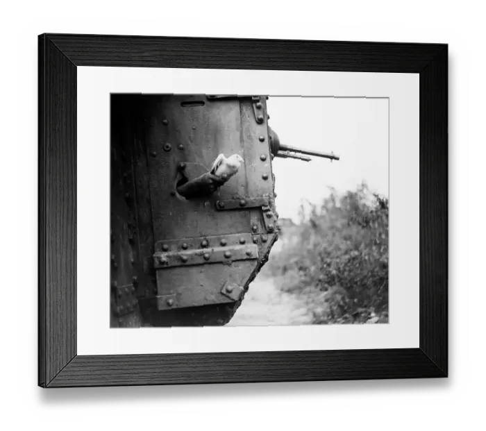 Framed Print : WW1 - Releasing a carrier pigeon from a tank near Framed Print : WW1 - Releasing a carrier pigeon from a tank near