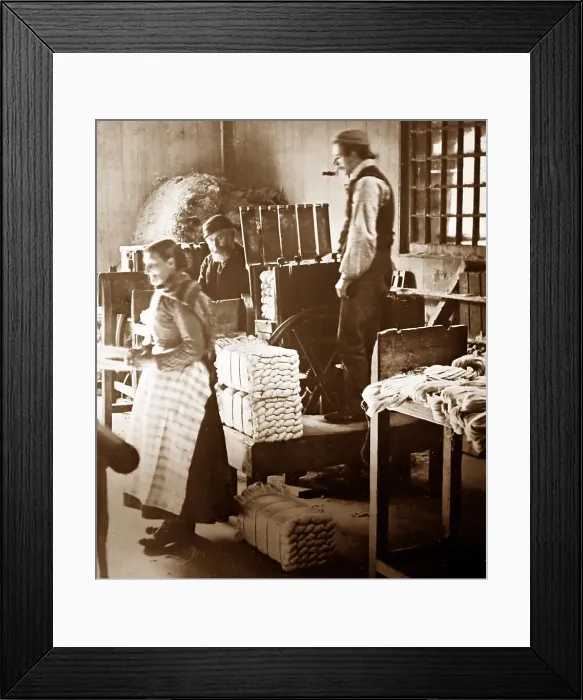 Framed Print : Short stool bundling, linen production, Victorian period Framed Print : Short stool bundling, linen production, Victorian period