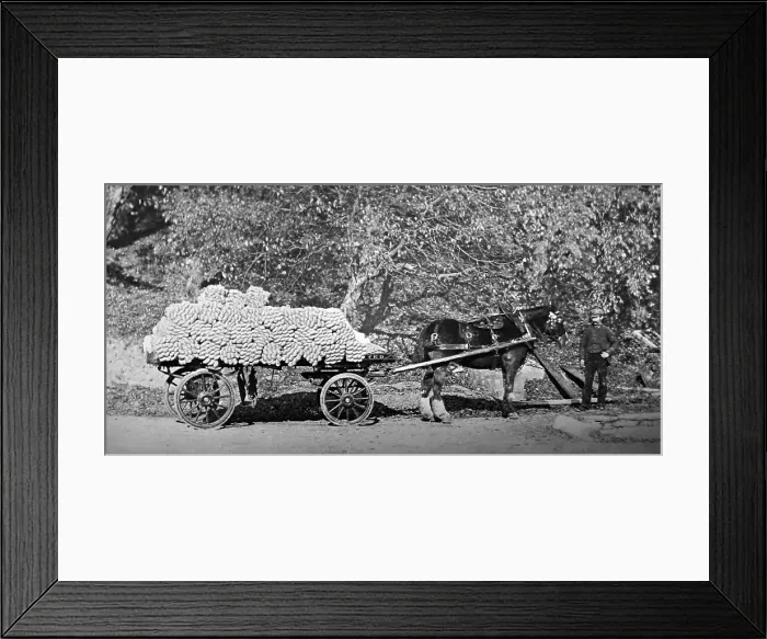 Framed Print : Linen manufacture, Load of yarn Framed Print : Linen manufacture, Load of yarn