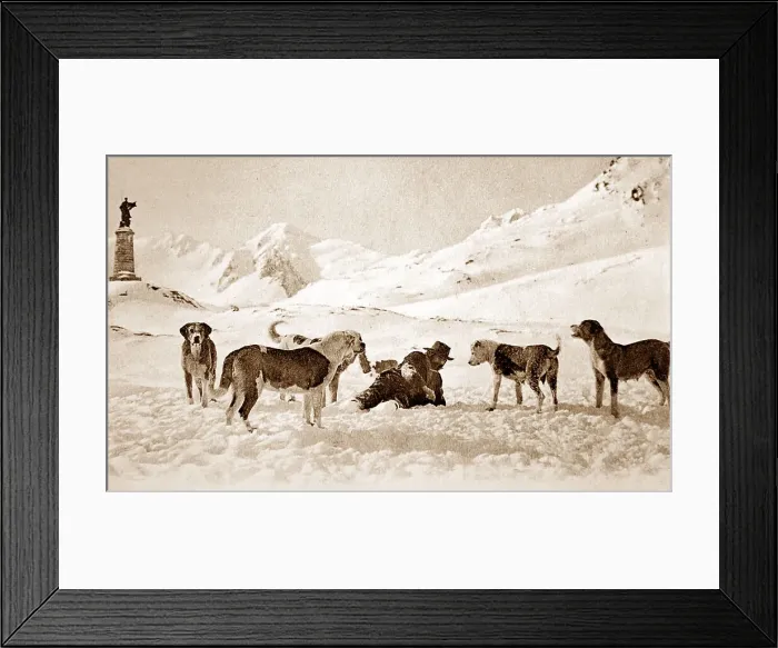 Framed Print : Hospice of the Great Saint Bernard, Switzerland, early 1900s Framed Print : Hospice of the Great Saint Bernard, Switzerland, early 1900s