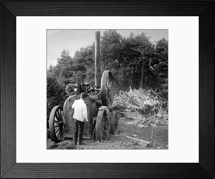 Framed Print : Wood yard traction engine Framed Print : Wood yard traction engine