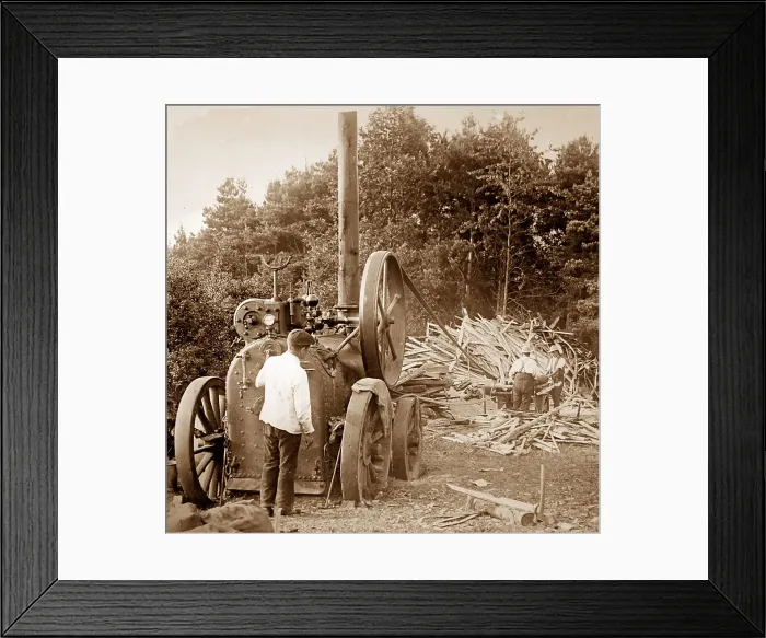 Framed Print : Traction engine powering a saw mill, Victorian period Framed Print : Traction engine powering a saw mill, Victorian period