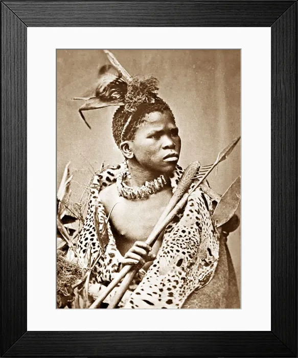 Framed Print : A Zulu Warrior, Victorian period Framed Print : A Zulu Warrior, Victorian period