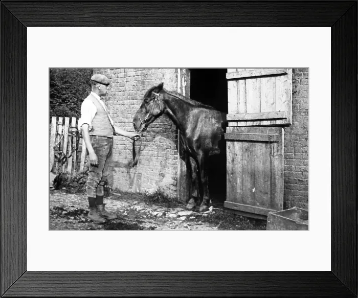 Framed Print : Horse in stable, Victorian period, hand coloured photo Framed Print : Horse in stable, Victorian period, hand coloured photo