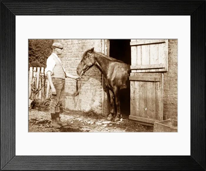 Framed Print : Horse in stable Framed Print : Horse in stable