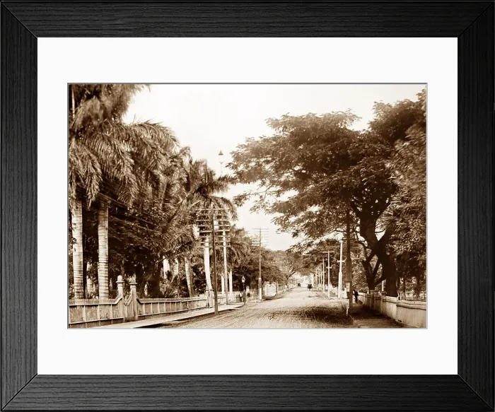 Framed Print : Nuuanu Avenue, Honolulu, Hawaii, USA