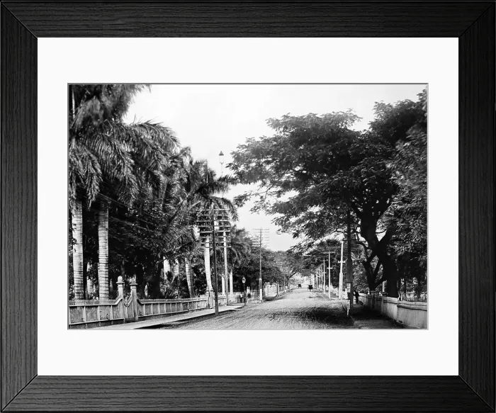 Framed Print : Nuuanu Avenue, Honolulu, Hawaii, pre 1900 Framed Print : Nuuanu Avenue, Honolulu, Hawaii, pre 1900