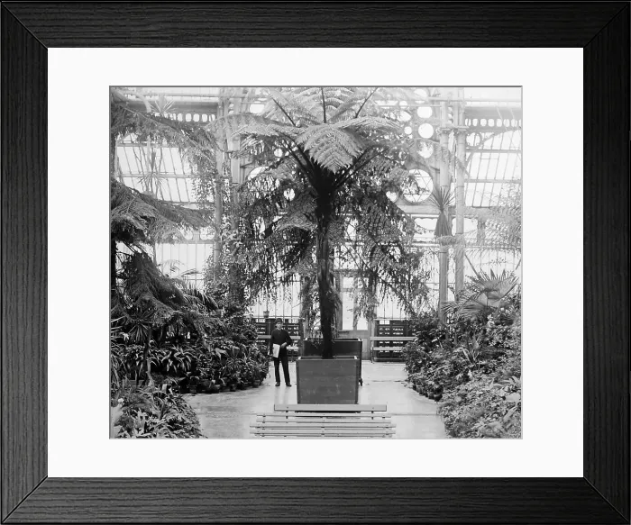 Framed Print : Southport Winter Gardens Framed Print : Southport Winter Gardens