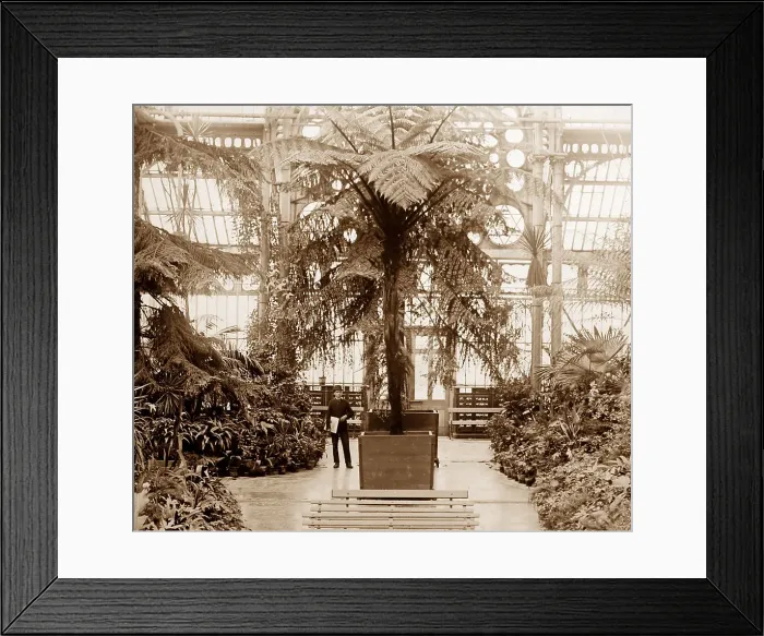 Framed Print : Winter Gardens Conservatory, Southport, Victorian period Framed Print : Winter Gardens Conservatory, Southport, Victorian period