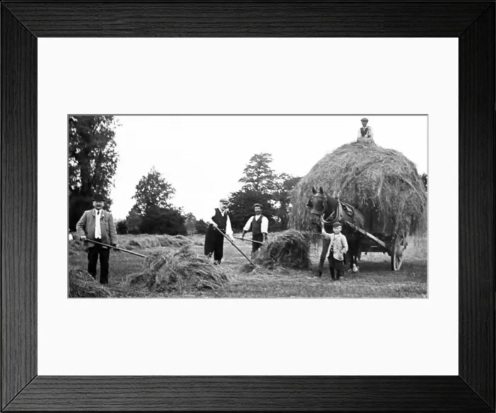 Framed Print : Haymaking, Hoby Framed Print : Haymaking, Hoby
