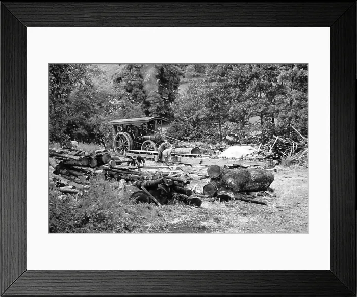 Framed Print : A sawmill powered by traction engine, hand coloured photo Framed Print : A sawmill powered by traction engine, hand coloured photo