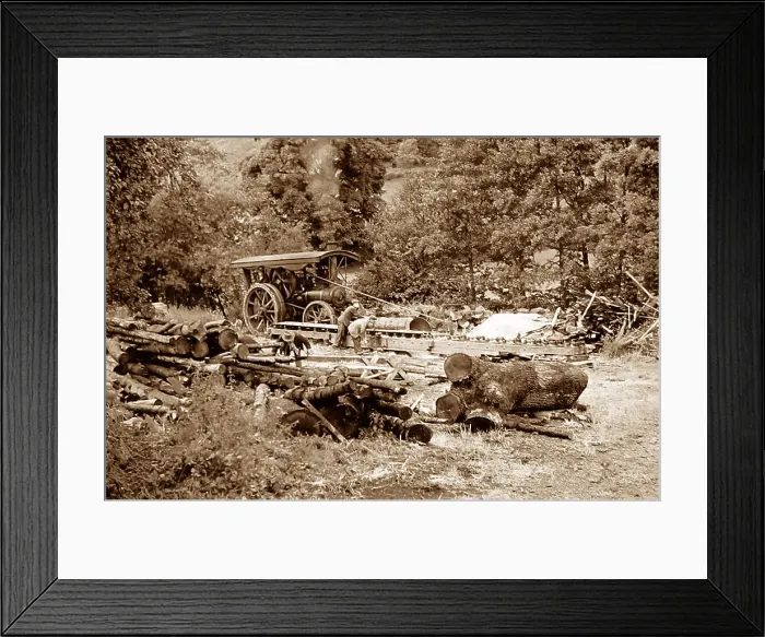 Framed Print : Traction engine at a sawmill Framed Print : Traction engine at a sawmill