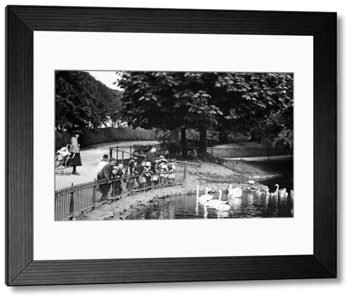 Framed Print : Feeding the swans, Moor Park, Preston, early 1900s Framed Print : Feeding the swans, Moor Park, Preston, early 1900s