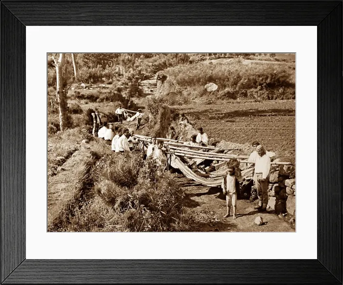 Framed Print : Madeira hammock men Framed Print : Madeira hammock men