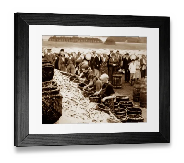 Framed Print : Scottish fisher girls (herring gutters and packers) Framed Print : Scottish fisher girls (herring gutters and packers)