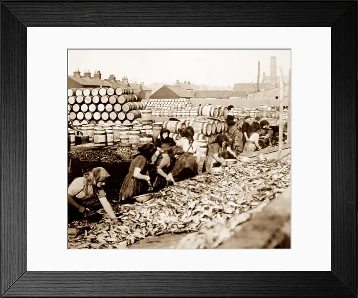 Framed Print : Scottish fisher girls (herring gutters and packers) Framed Print : Scottish fisher girls (herring gutters and packers)