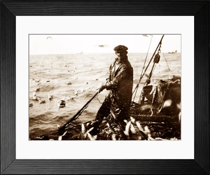 Framed Print : Herring fishing, Great Yarmouth Framed Print : Herring fishing, Great Yarmouth