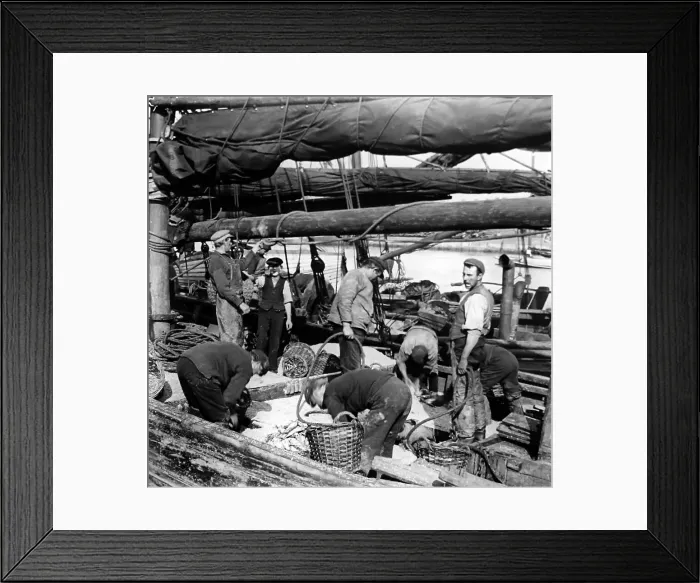 Framed Print : Herring fishing, Great Yarmouth, early 1900s Framed Print : Herring fishing, Great Yarmouth, early 1900s