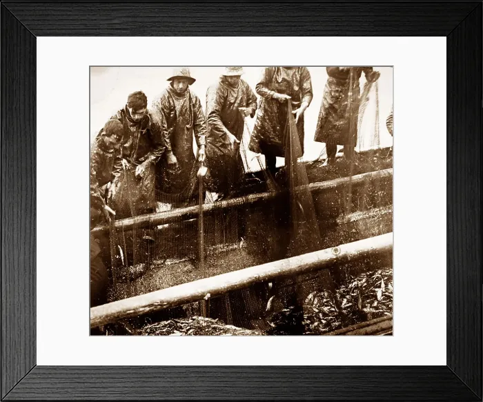 Framed Print : Herring fishing, Great Yarmouth Framed Print : Herring fishing, Great Yarmouth