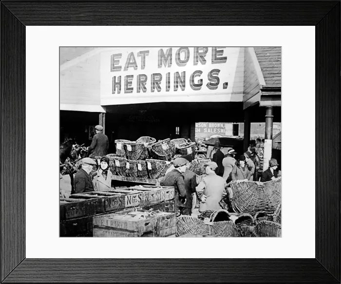 Framed Print : Herring fishing, Great Yarmouth, early 1900s Framed Print : Herring fishing, Great Yarmouth, early 1900s