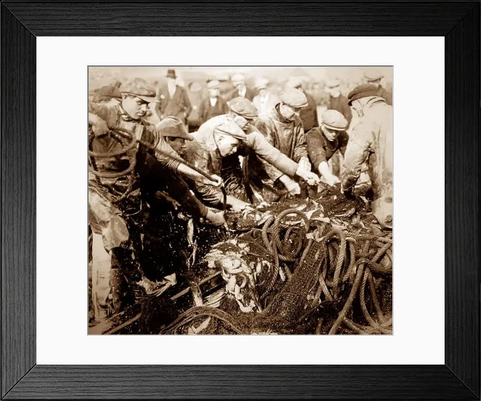 Framed Print : Herring fishing, Great Yarmouth Framed Print : Herring fishing, Great Yarmouth