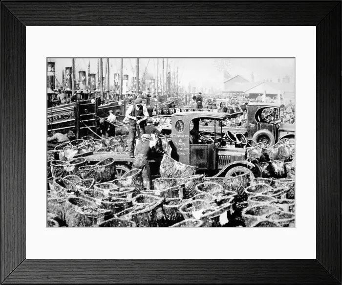 Framed Print : Herring fishing, Great Yarmouth, early 1900s