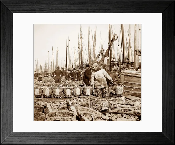 Framed Print : Herring fishing, Great Yarmouth Framed Print : Herring fishing, Great Yarmouth