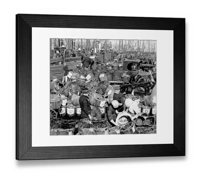 Framed Print : Herring fishing, Great Yarmouth, early 1900s Framed Print : Herring fishing, Great Yarmouth, early 1900s